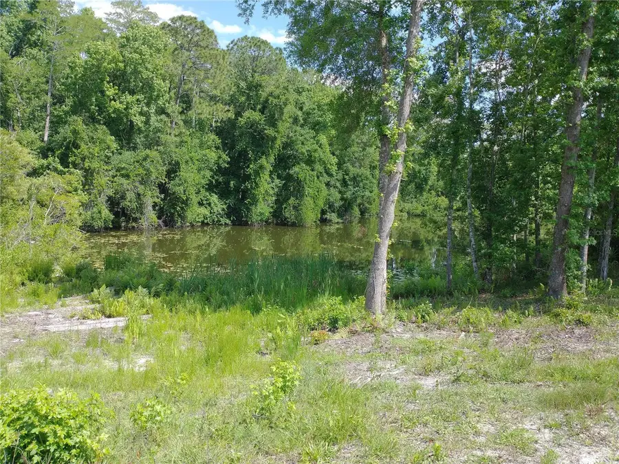 0000 Eagle Boulevard, Land O Lakes, FL 34639 - #2