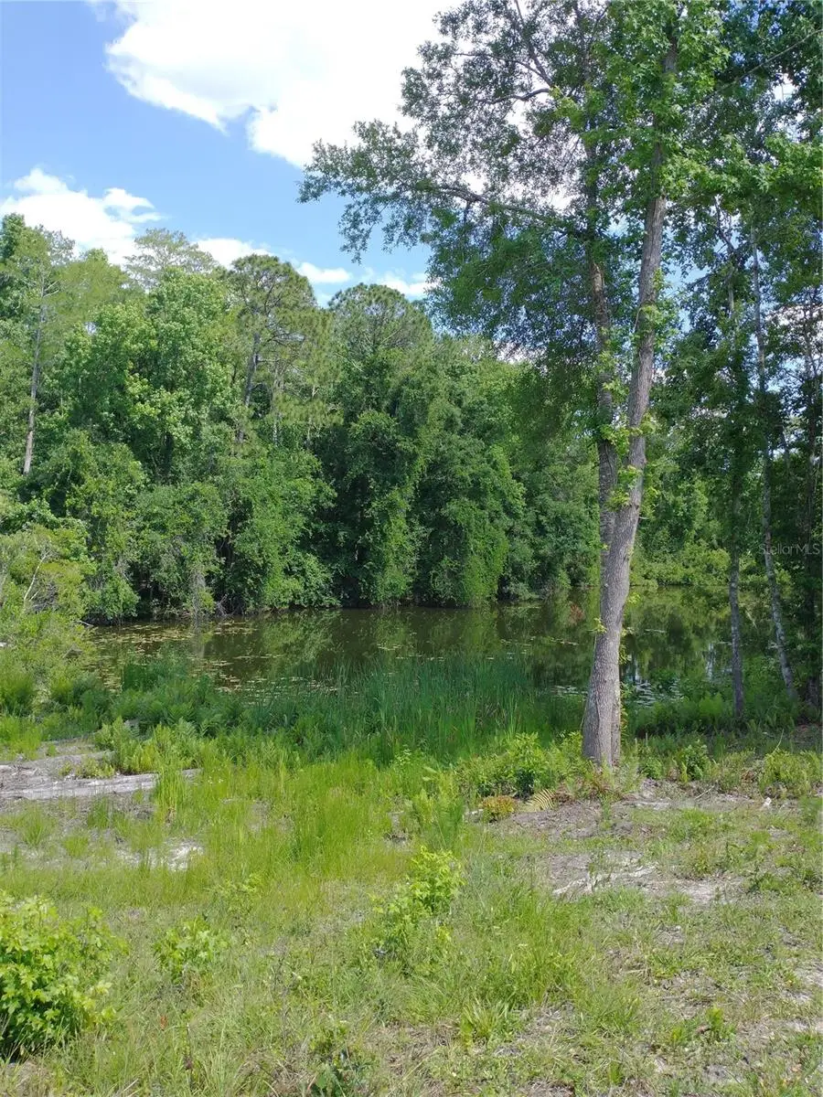 0000 Eagle Boulevard, Land O Lakes, FL 34639 - #3