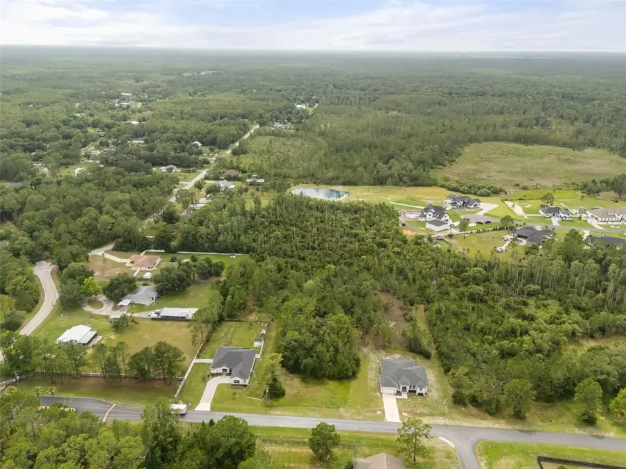 8017 Woodleaf Boulevard, Wesley Chapel, FL 33544 - #2