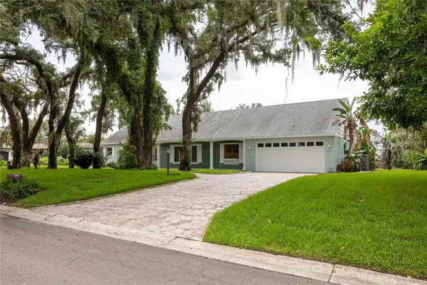 615 Valle Vista Drive, BRANDON, FL 33511
