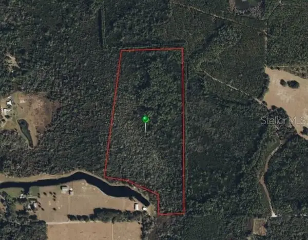 Raulerson Road, SEVILLE, FL 32190