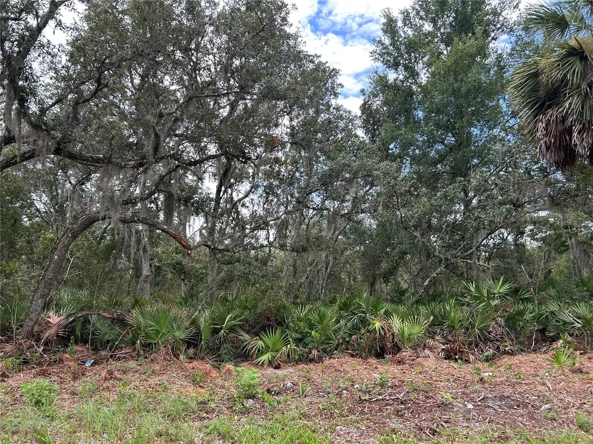 Peterson Road, Pierson, FL 32180 - #1