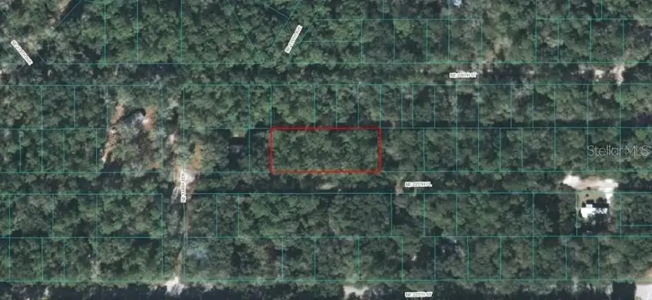 225th Place, Fort McCoy Anthony, FL 32134 - #1