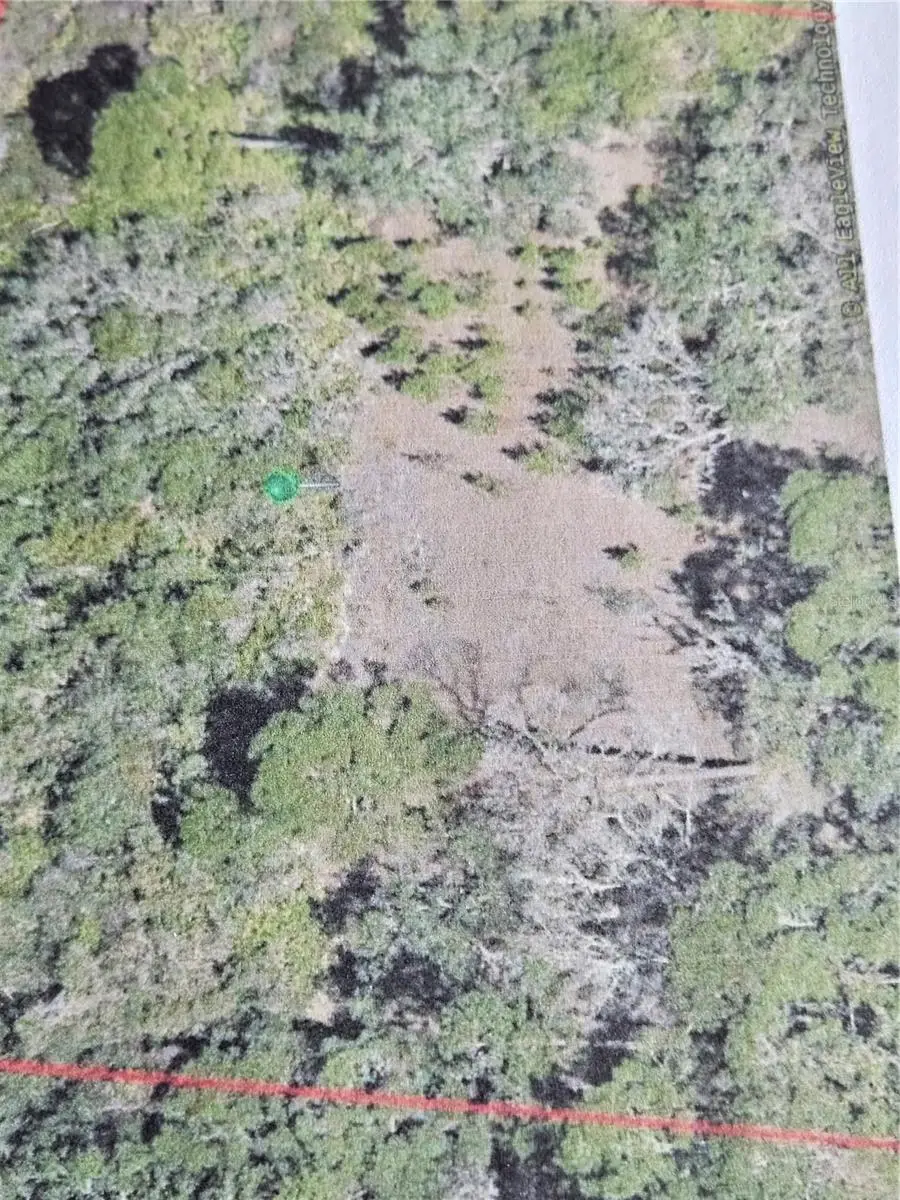 Spring Garden Ranch Road, De Leon Springs, FL 32130 - #1