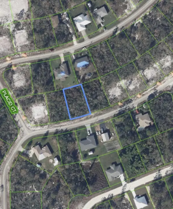 327 Hoover Avenue Ne, LAKE PLACID, FL 33852