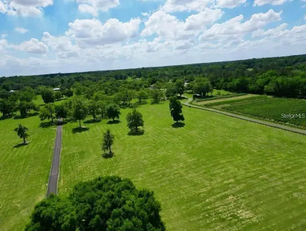 Tbd Se 115th Street, BELLEVIEW, FL 34420