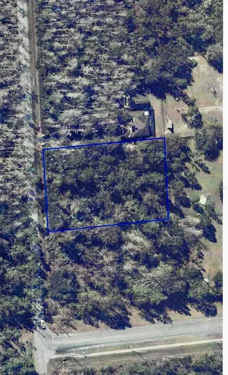 Starry Street, Orlando, FL 32833 - #2