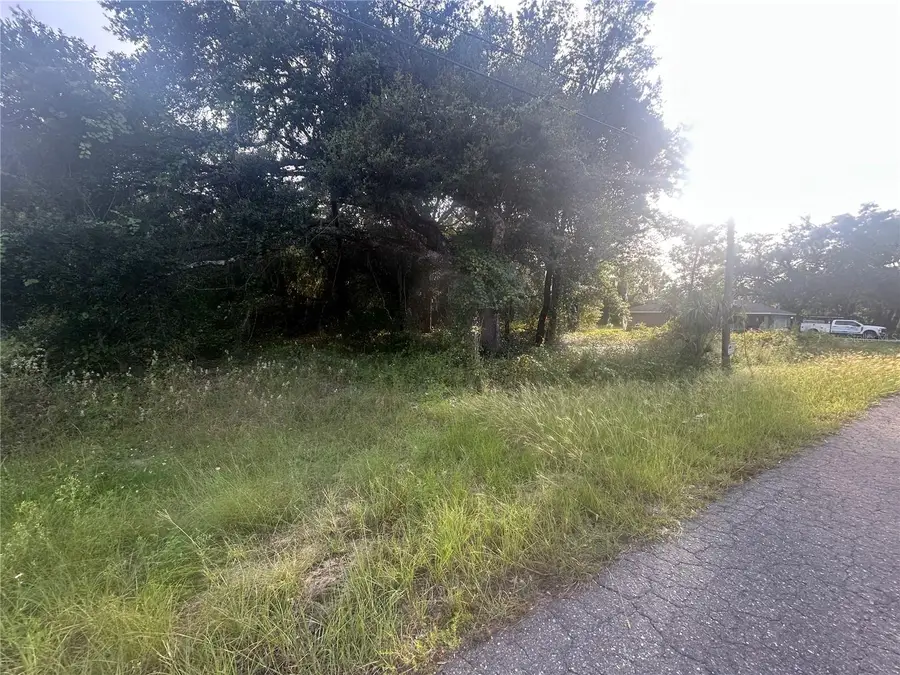 0000 Guava Terrace #4, Ocklawaha, FL 32179 - #2