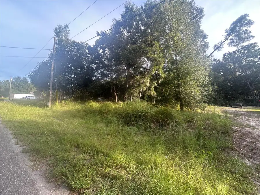 0000 Guava Terrace #4, Ocklawaha, FL 32179 - #3