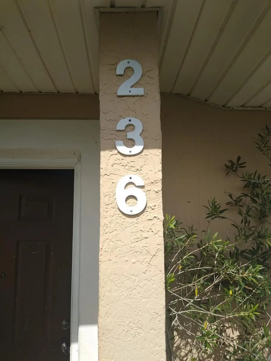 236 Rontunda Drive, Kissimmee, FL 34758 - Image #3