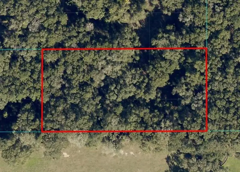Undetermined, Ocala, FL 34480 - #1