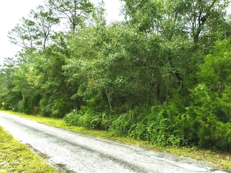 NE 247 Lane, Lake Kerr, FL 32134 - Image #2