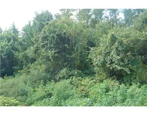 Raulerson Road, FROSTPROOF, FL 33843