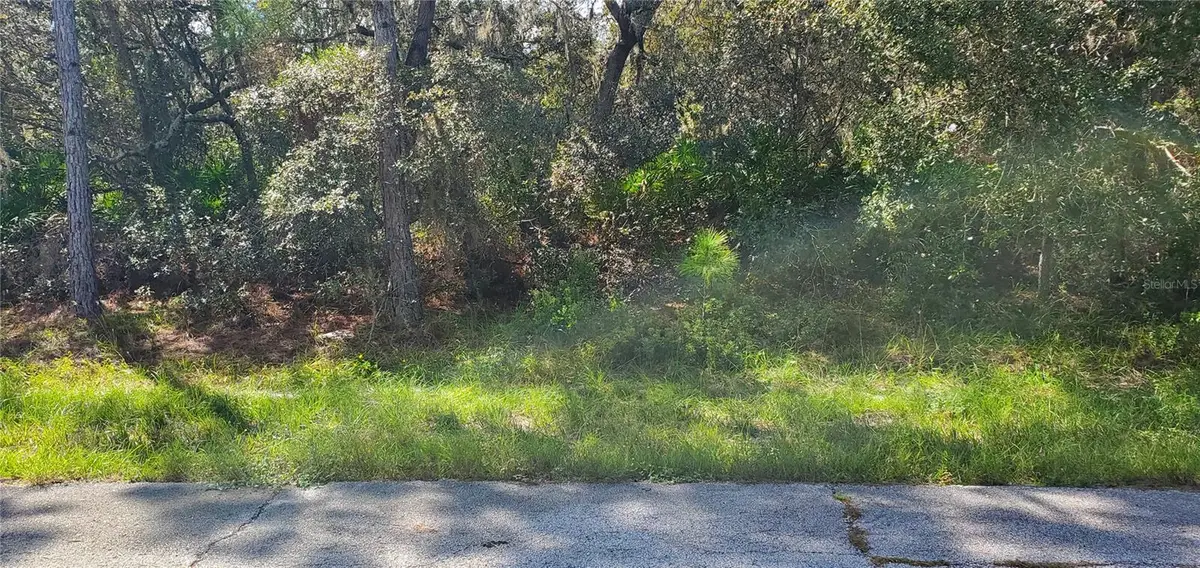 Marlin Drive, Poinciana, FL 34759 - Image #1