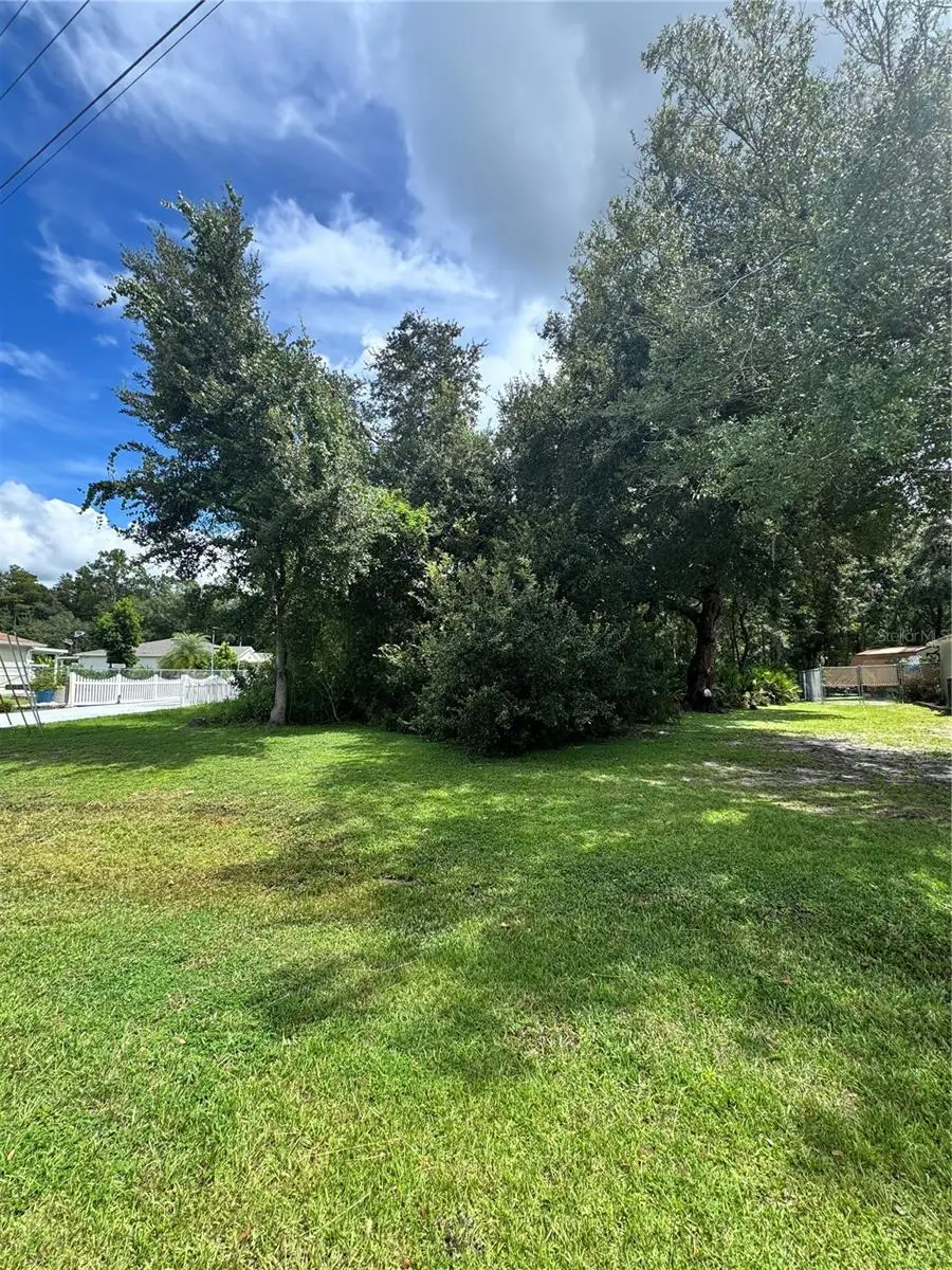 0 Tiffany Court, Kissimmee, FL 34758 - Image #2