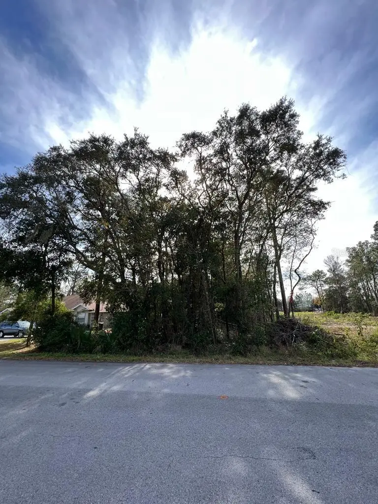 Bahia Terrace, Ocala, FL 34472 - Image #1