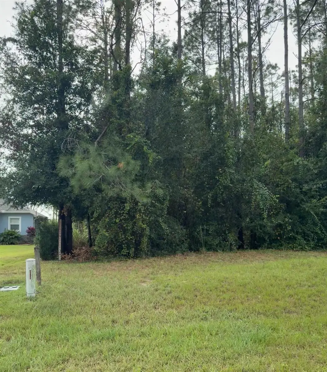 Lake Smith Road, Umatilla, FL 32784 - Image #1