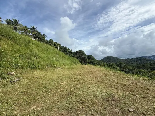 10 Rainforest And Sea View Resort,, LUQUILLO, PR 00773