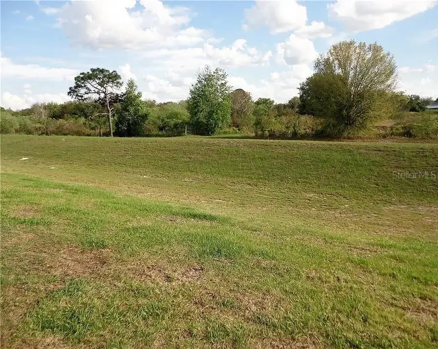 520 Highland Meadows Avenue, Davenport, FL 33837 - Image #3