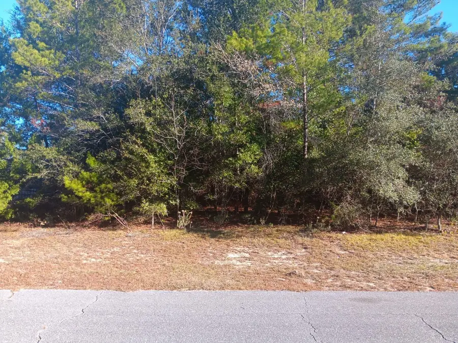 Eva Place, Chipley, FL 32428 - Image #3