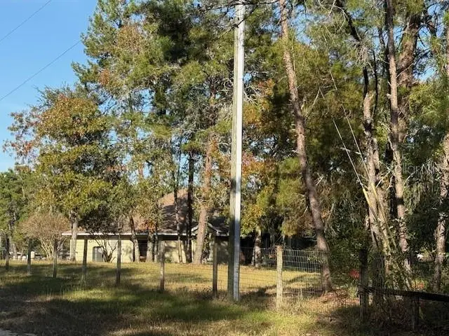 791 SE 142 Avenue, Williston, FL 32696 - Image #3