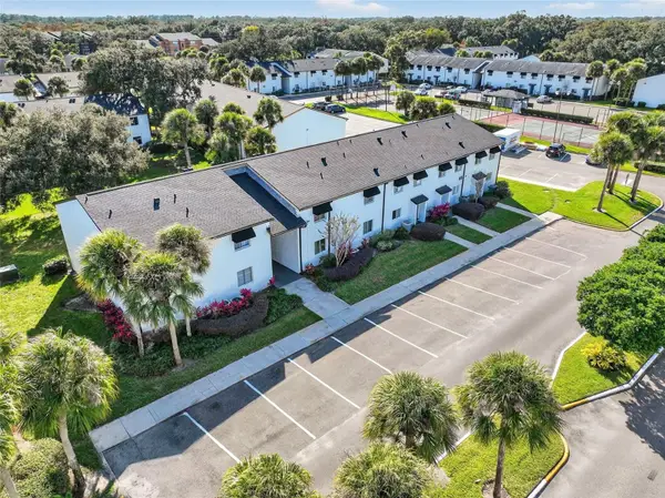 4309 S Semoran Boulevard #3, ORLANDO, FL 32822