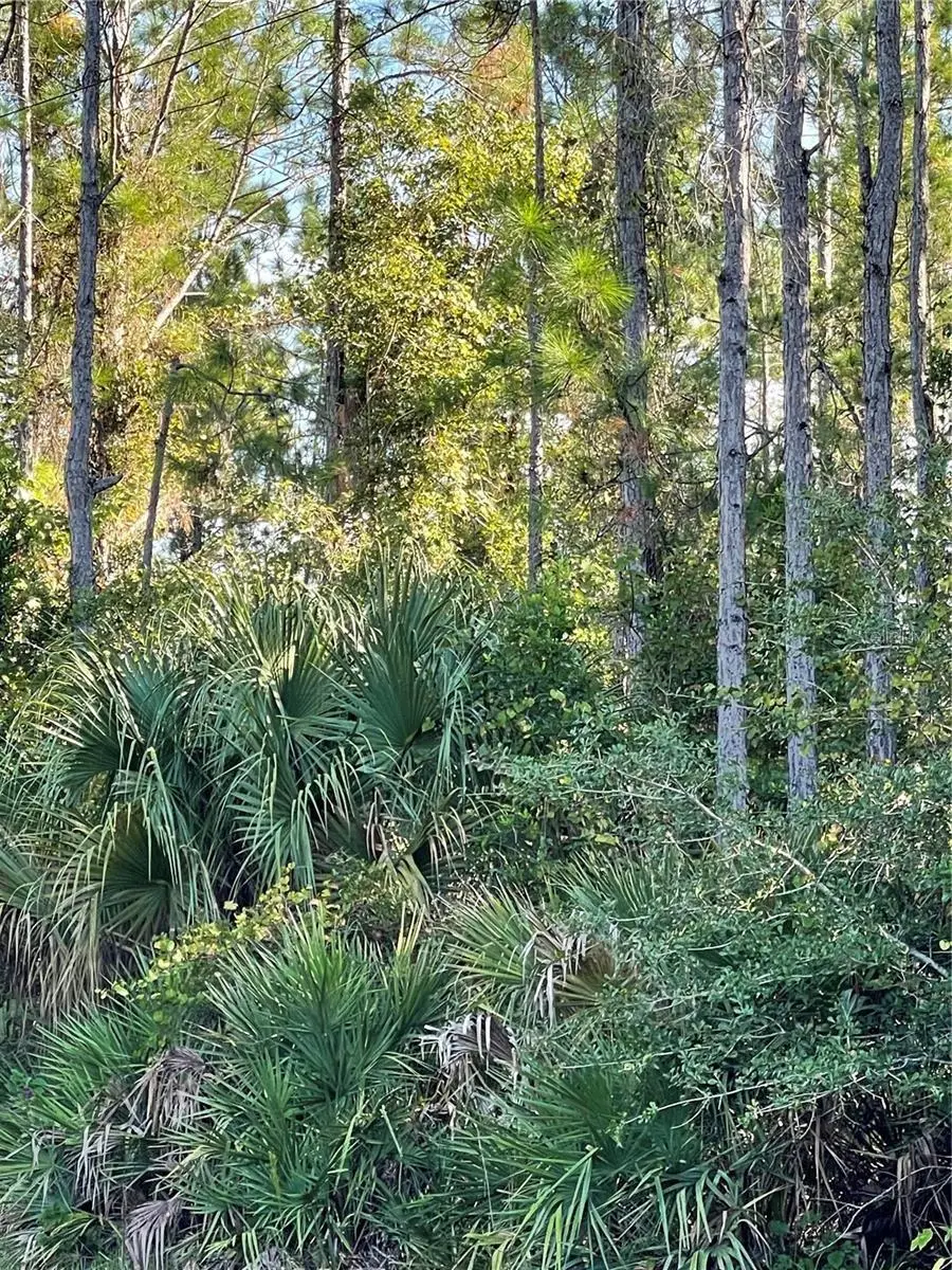 Old Train Road, Deltona, FL 32738 - Image #1