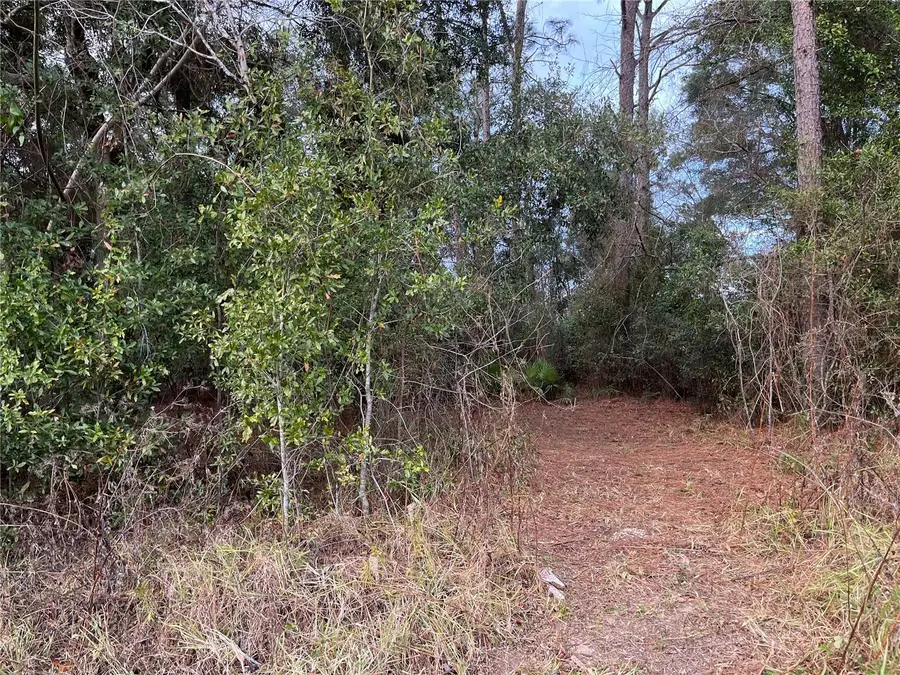 Nw 20th St, Ocala, FL 34482 - Image #2