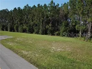 Lake Smith Road, Umatilla, FL 32784 - Image #3