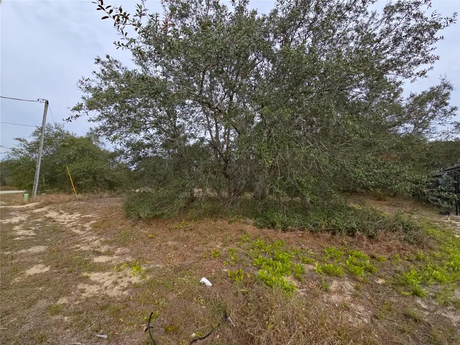 1420 Punta Gorda Court, Poinciana, FL 34759 - #3