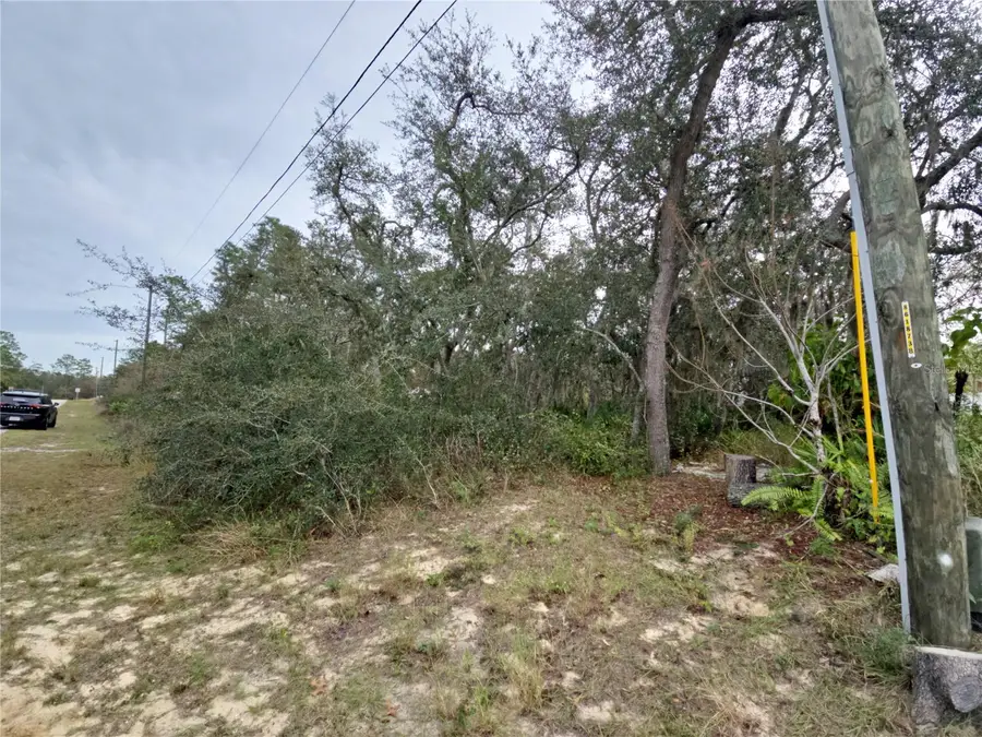 447 Rainbow Court, Poinciana, FL 34759 - #3