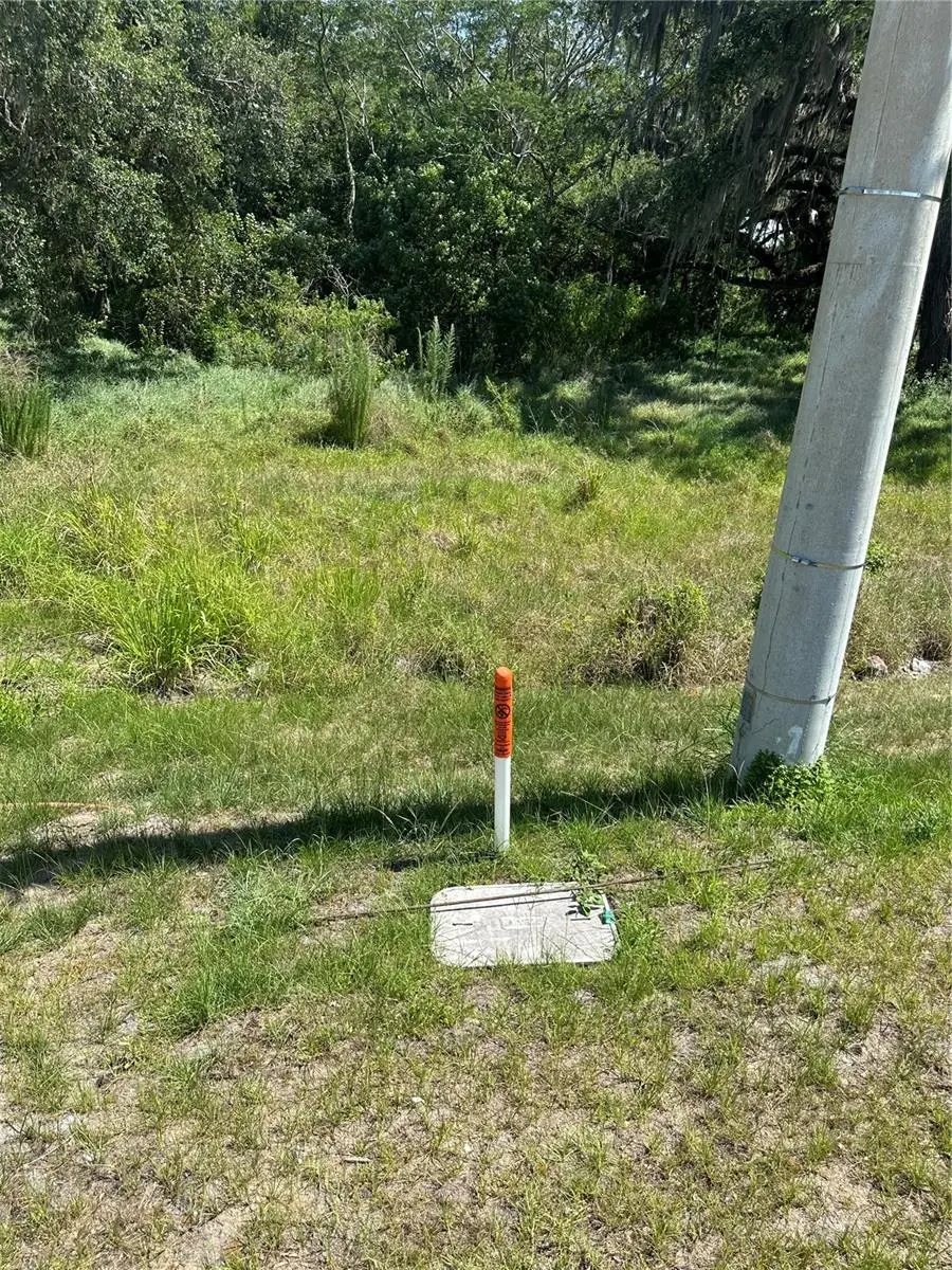 0 Simpson Road, Kissimmee, FL 34744 - Image #2