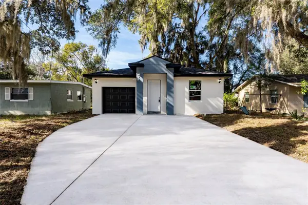 610 Reddick Street, EUSTIS, FL 32726