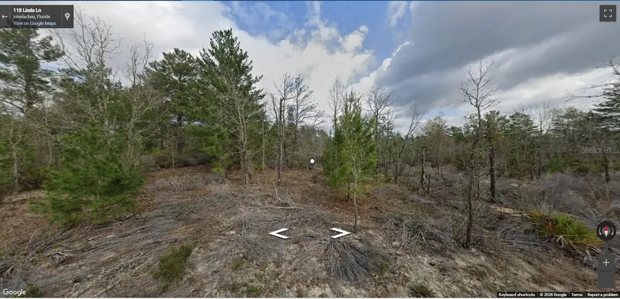 118 Linda Lane, Interlachen, FL 32148 - #2