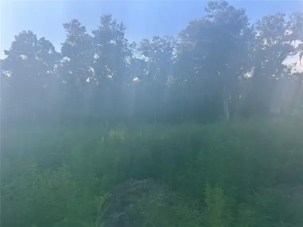 3528 W Nieman Drive, DUNNELLON, FL 34433