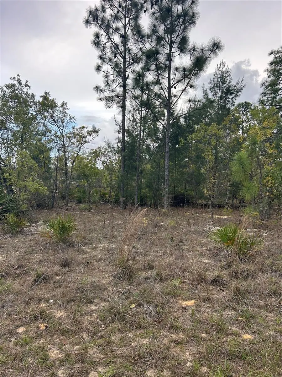 3528 W Nieman Drive, Dunnellon, FL 34433 - #2