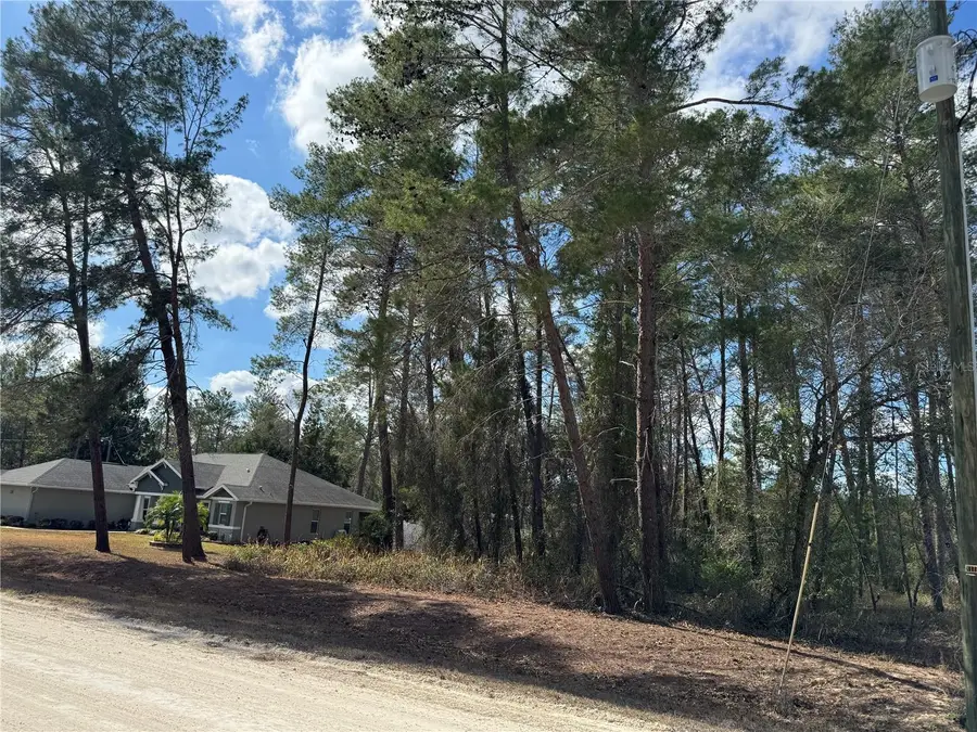 Filbert Rd, Weeki Wachee, FL 34614 - Image #3