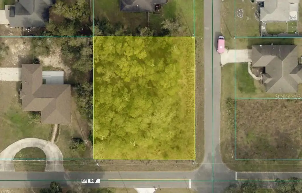 Orange Blossom Hills, Summerfield, FL 34491 - #1