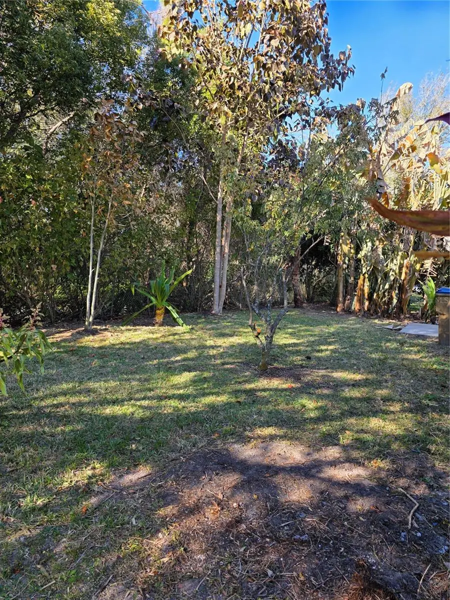 2756 Big Timber Drive, Kissimmee, FL 34758 - #2