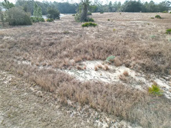 1319 Hillsborough Lane, KISSIMMEE, FL 34759