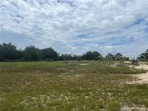 1322 Hillsborough Drive, KISSIMMEE, FL 34759