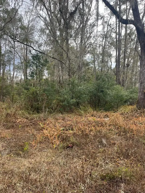 Ward Avenue, BROOKSVILLE, FL 34601