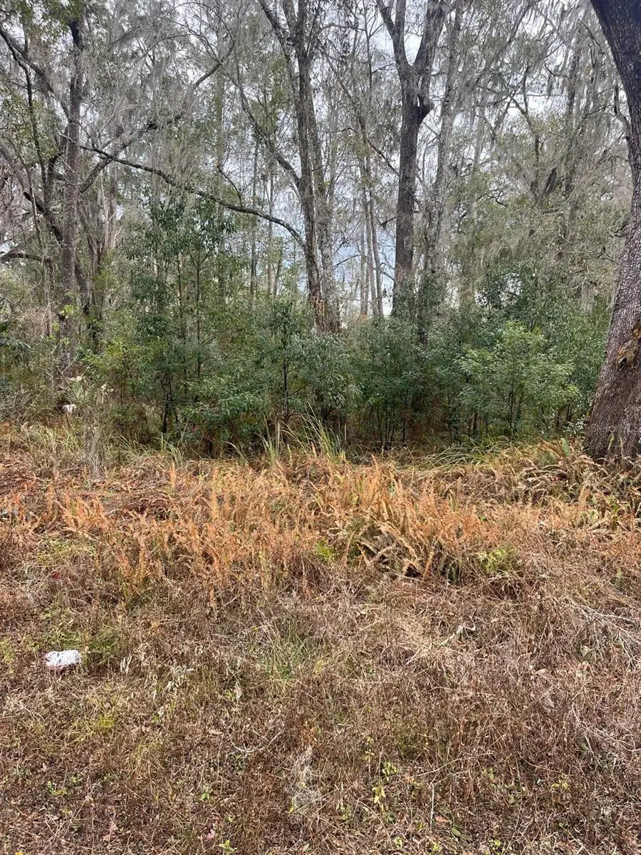 Ward Avenue, Brooksville, FL 34601 - #2