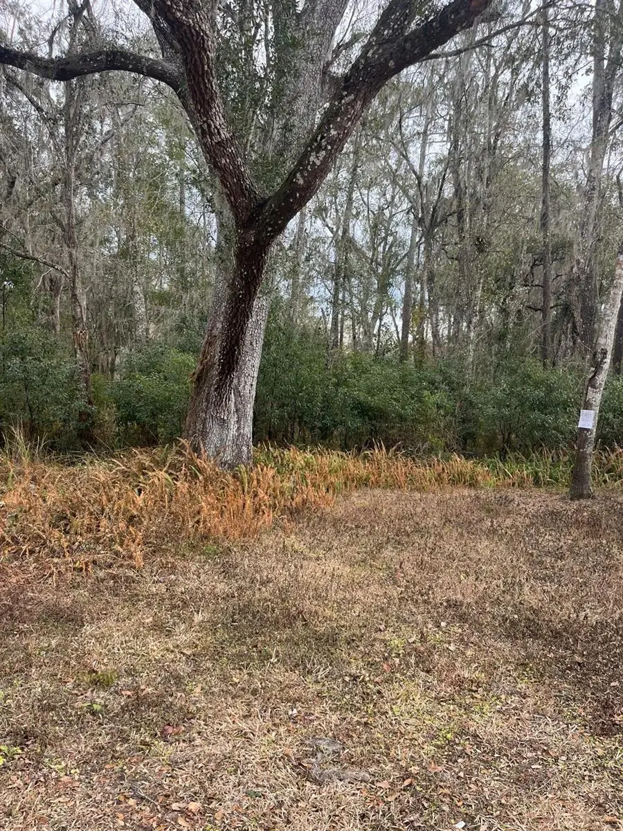 Ward Avenue, Brooksville, FL 34601 - #3