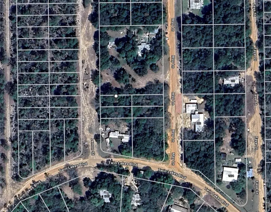 202 Lemon Street, Interlachen, FL 32148 - #3