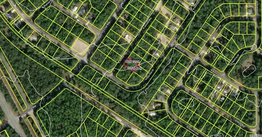 9321 N Jackson Way, Citrus Springs, FL 34434 - #3