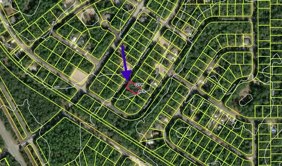 9337 N Jackson Way, Citrus Springs, FL 34434 - #2