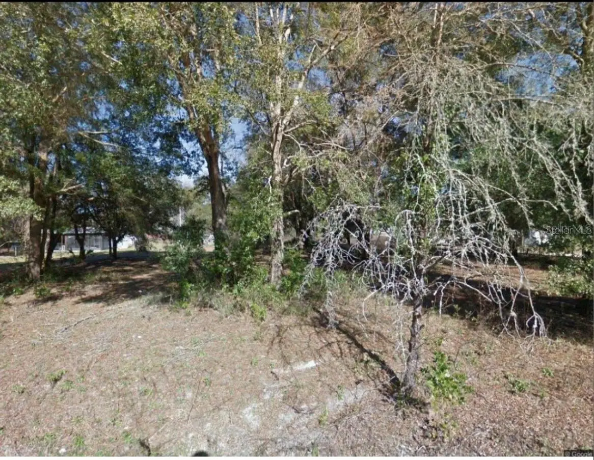17449 Nw 89th Ter, Fanning Springs, FL 32693 - #1