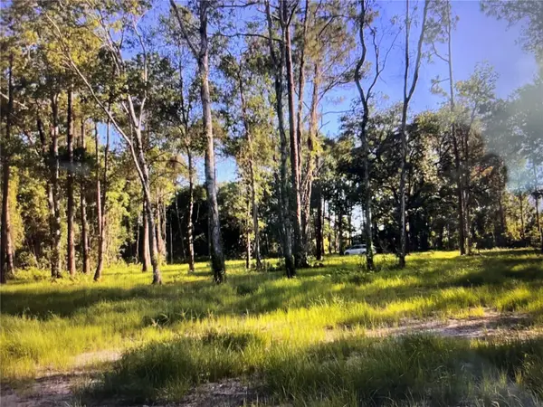 2711 State Road 33, CLERMONT, FL 34714