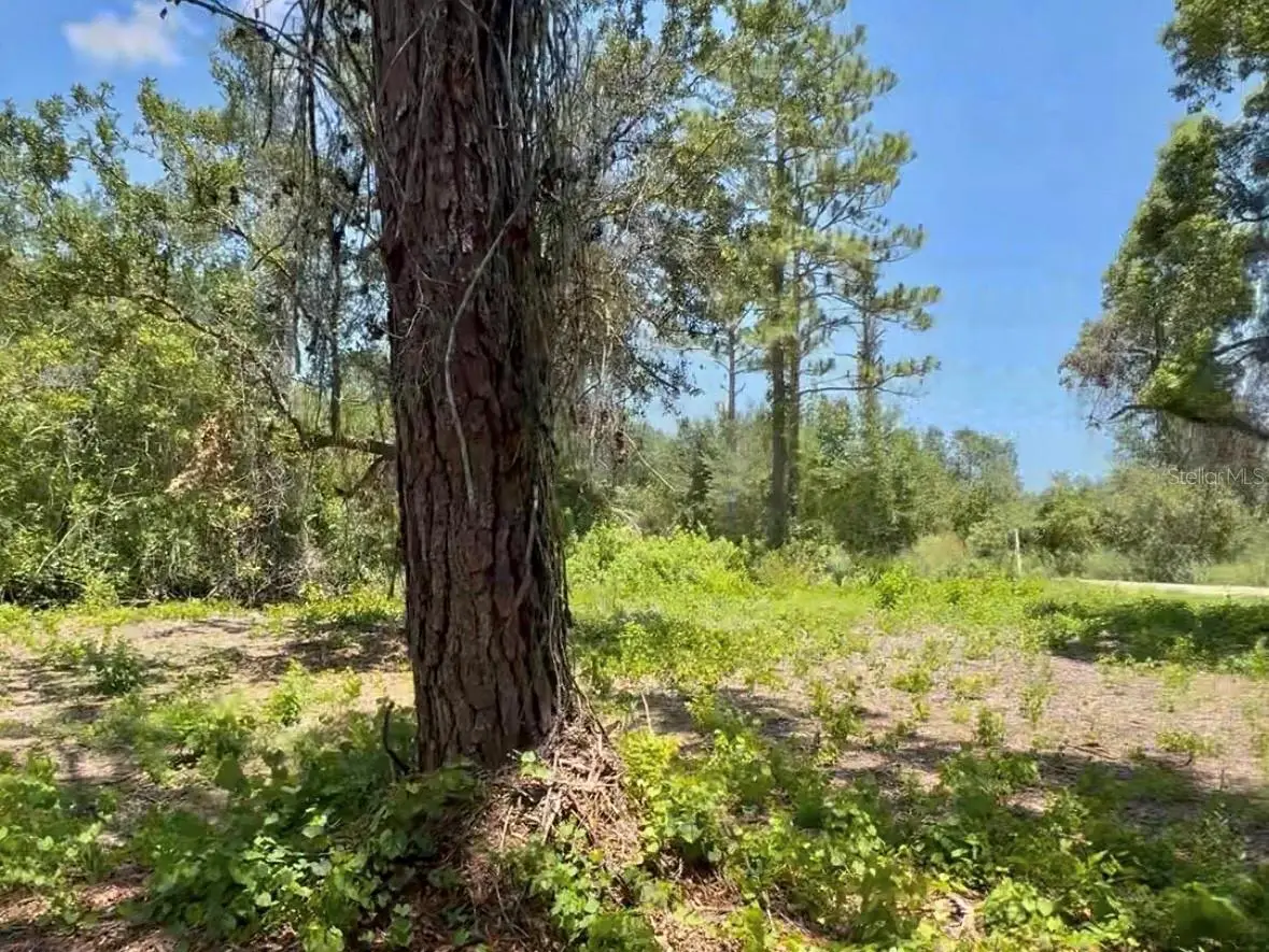 434 Ranchette Road, New Smyrna Beach, FL 32168 - #1